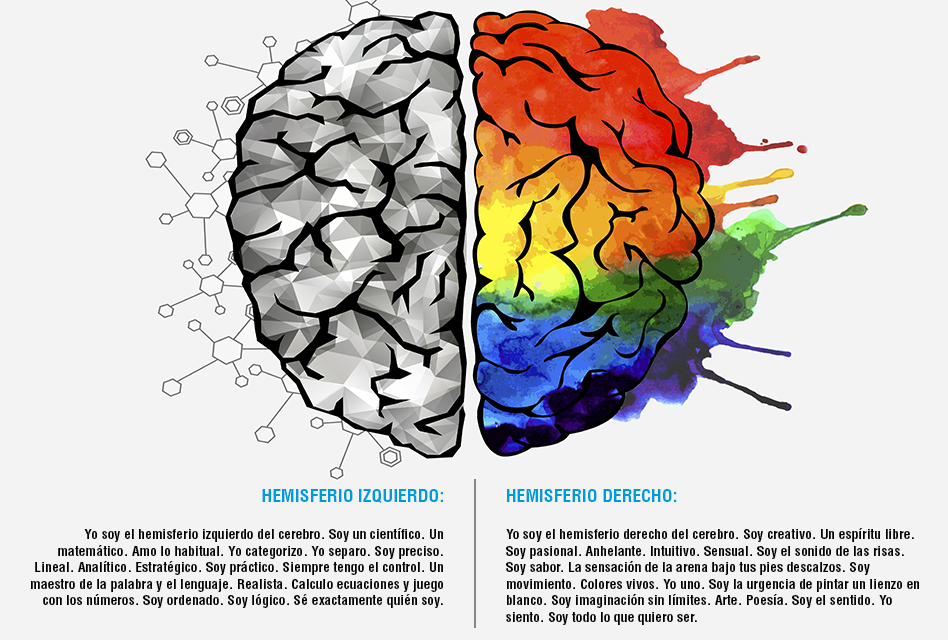 Los hemisferios cerebrales y la Comunicación No Verbal